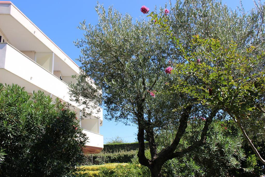 Eurobeach Residence Cavallino-Treporti Εξωτερικό φωτογραφία