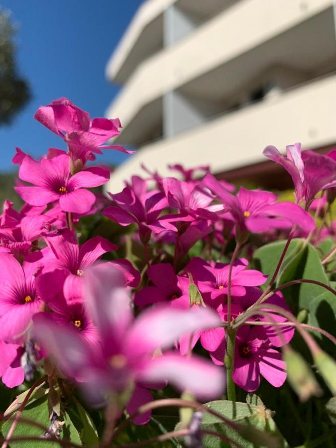 Eurobeach Residence Cavallino-Treporti Εξωτερικό φωτογραφία